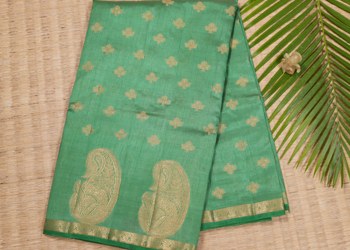 Exclusive collection VS ES004