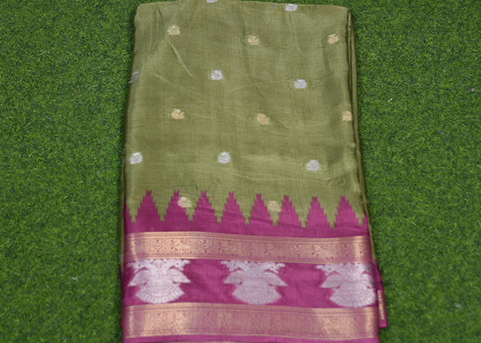 Gap border Saree VS OW009
