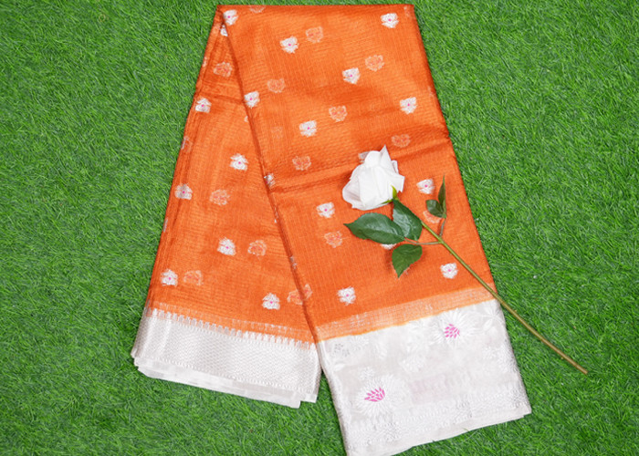 Silk Kota VS SS005