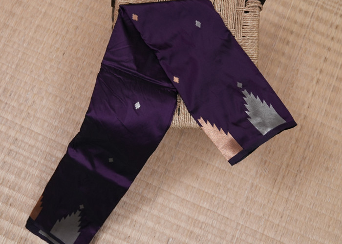 friendly budjet sarees VS FS005