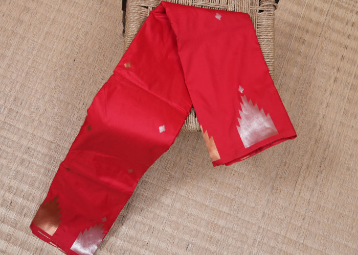 friendly budjet sarees VS FS003