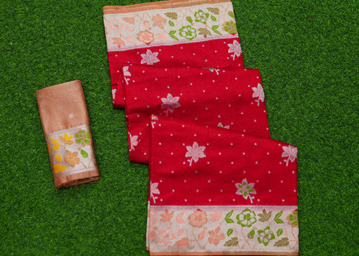 New Collection VS NS0012