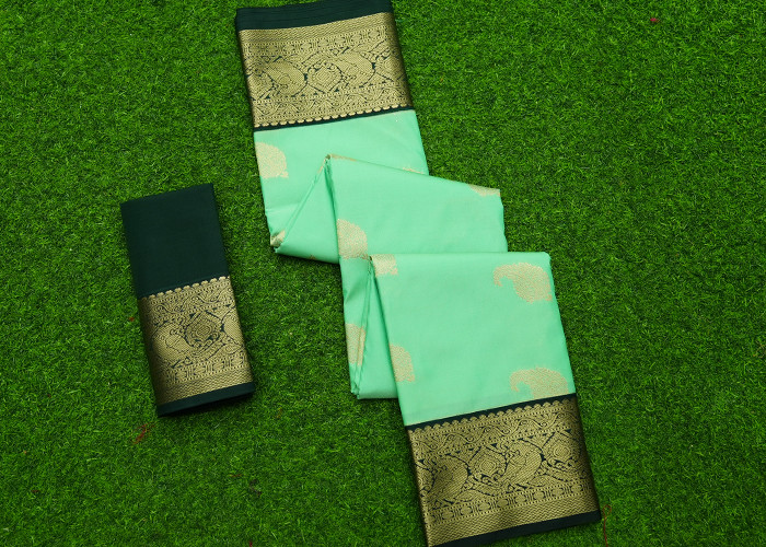 Gap Border pattu VS SS0017