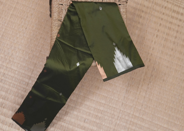 friendly budjet sarees VS FS002