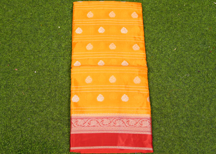 Gap border Saree VS OW0022