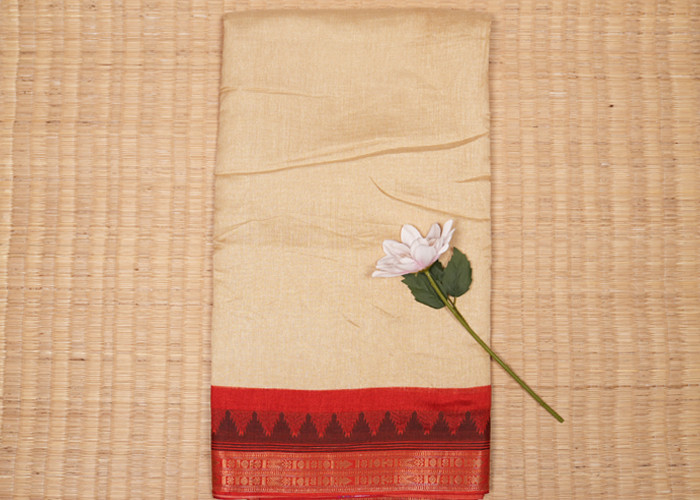 Chiffon Georgette sarees VS CS003
