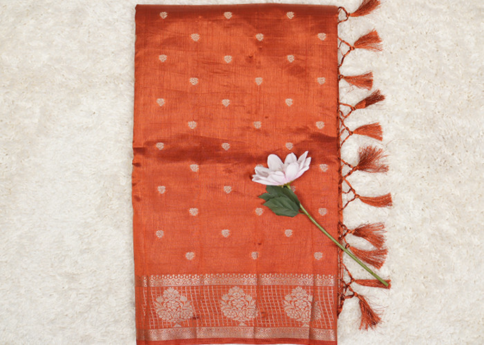 New collection Sarees VS NS0017